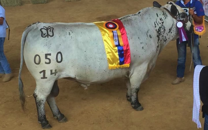 doble-proposito-paracaima