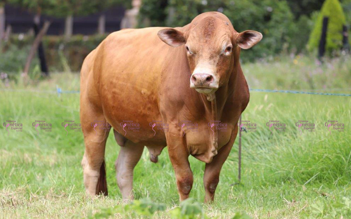 doble-proposito-harton