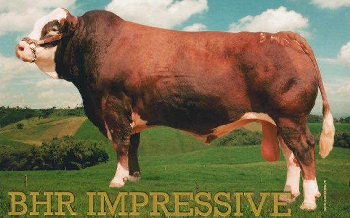 doble-proposito-impressive