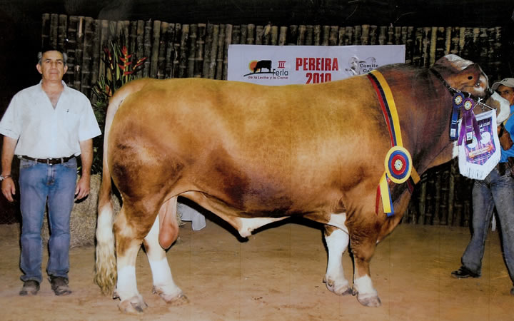 doble-proposito-rumba-simon